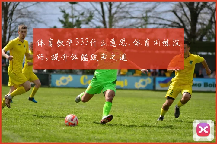 体育教学333什么意思,体育训练技巧,提升体能效率之道