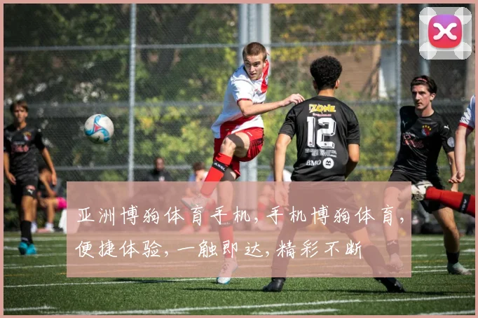 亚洲博狗体育手机,手机博狗体育,便捷体验,一触即达,精彩不断