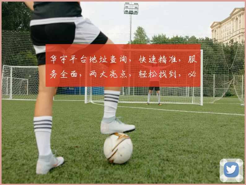 华宇平台地址查询，快速精准，服务全面，两大亮点，轻松找到，必看攻略
