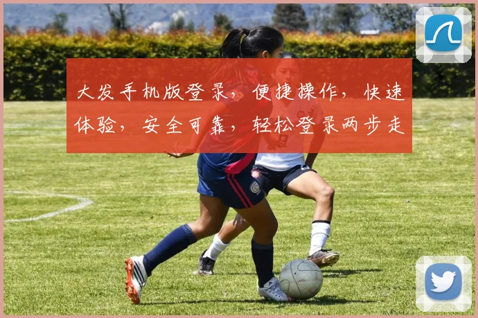 大发手机版登录，便捷操作，快速体验，安全可靠，轻松登录两步走